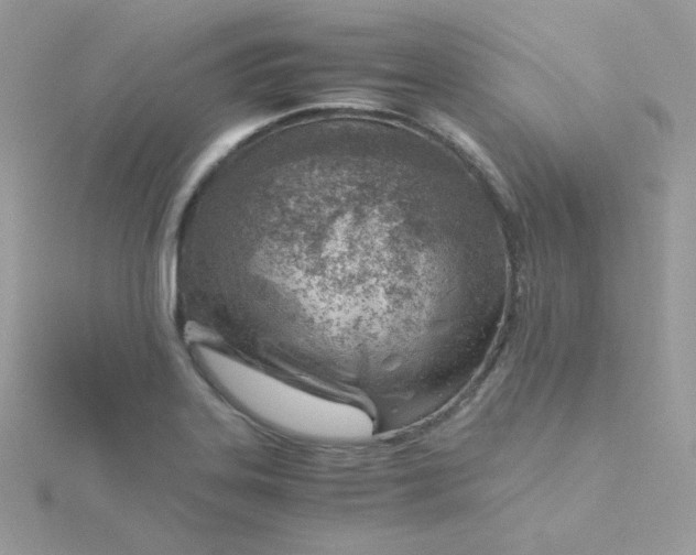 X0000115821323200911271129