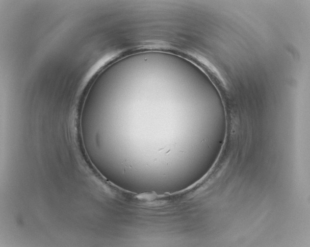 X0000115821325200911271129