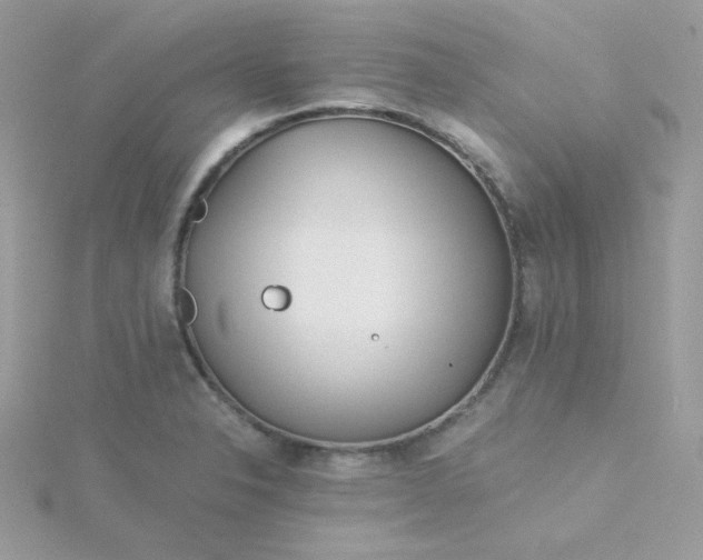 X0000115821326200911271129