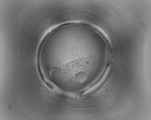 X0000115821327200911271129