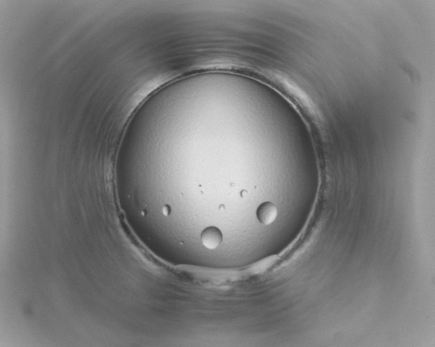 X0000115821329200911271129