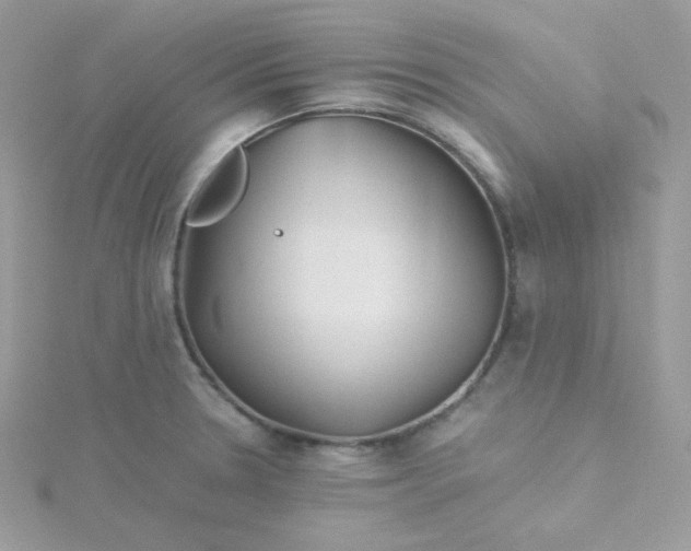 X0000115821330200911271129