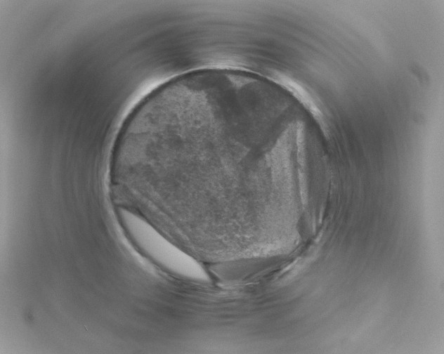 X0000115821331200911271129