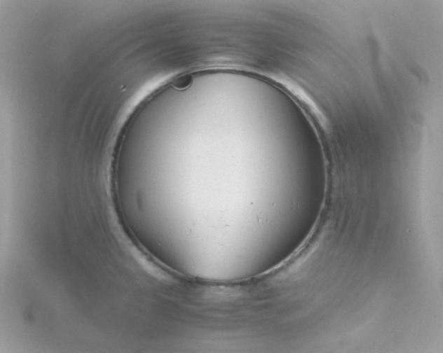 X0000115821333200911271129