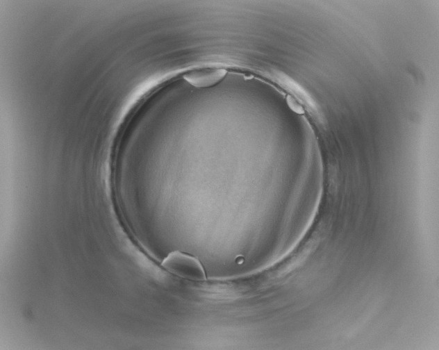 X0000115821334200911271129