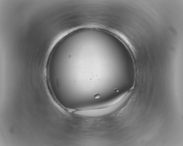 X0000115821335200911271129