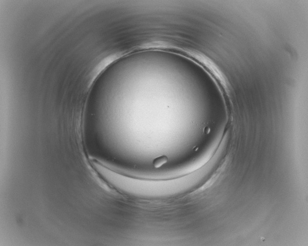 X0000115821337200911271129