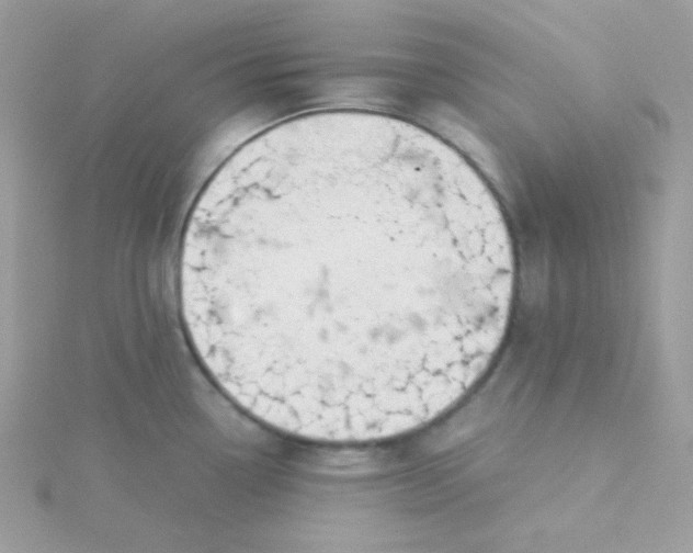 X0000115821338200911271129