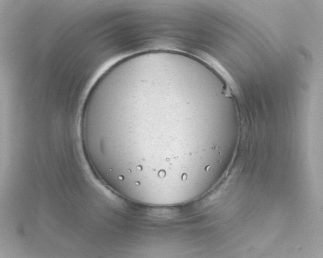 X0000115821339200911271129