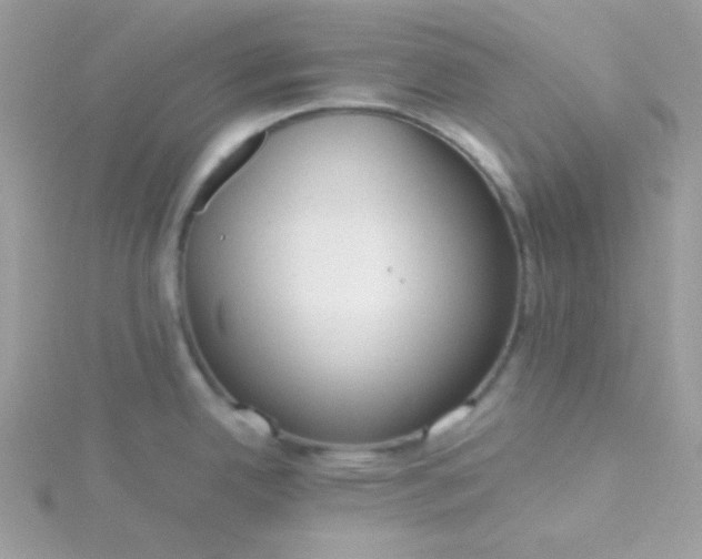 X0000115821342200911271129