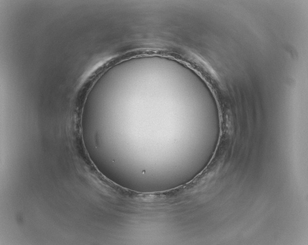 X0000115821352200911271129