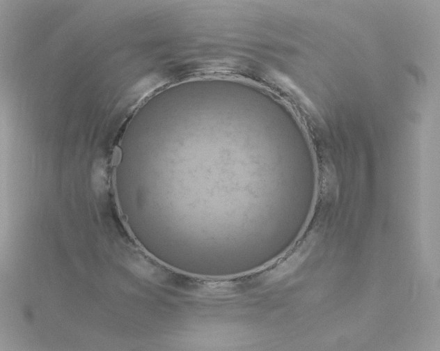 X0000115821353200911271129