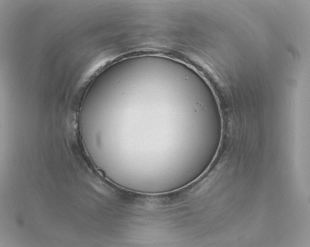 X0000115821355200911271129