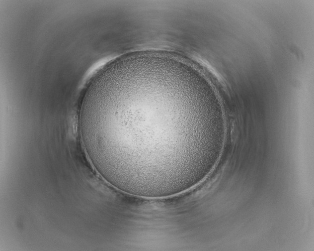 X0000115821358200911271129