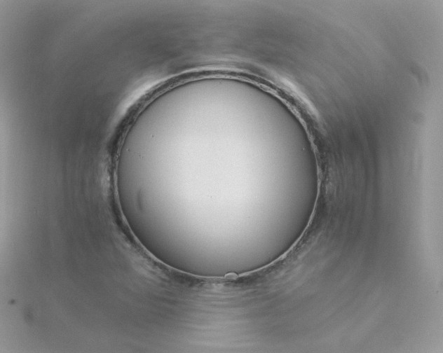 X0000115821360200911271129