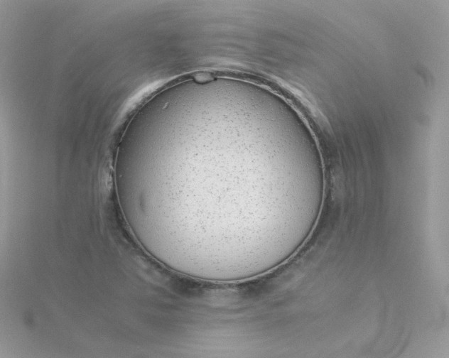 X0000115821363200911271129