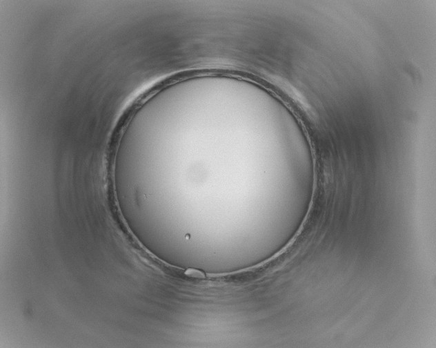 X0000115821364200911271128