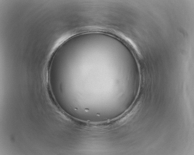 X0000115821365200911271128