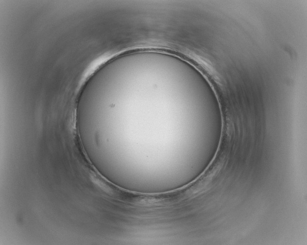 X0000115821366200911271128