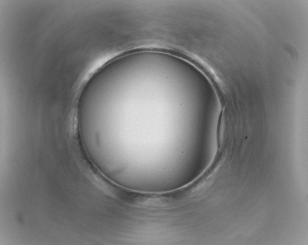 X0000115821367200911271128