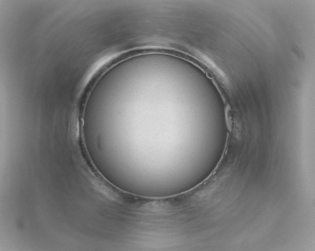 X0000115821368200911271128