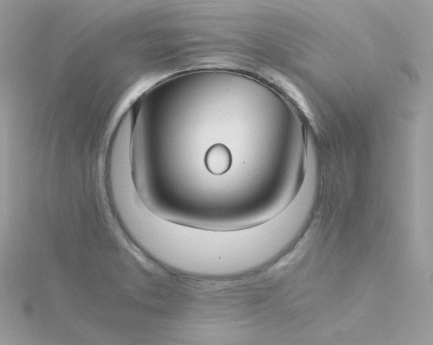 X0000115821373200911271128