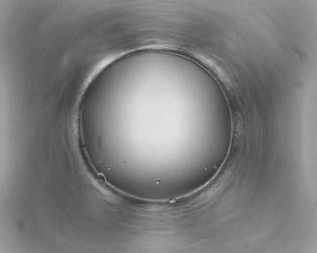 X0000115821375200911271128