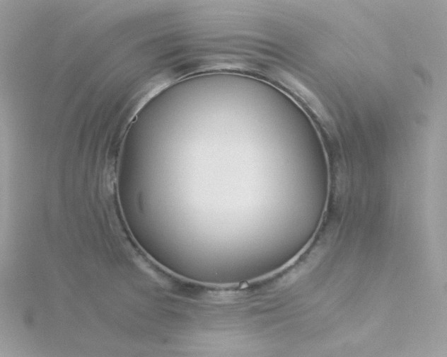 X0000115821377200911271128