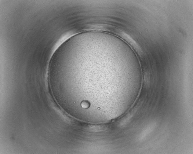 X0000115821378200911271128