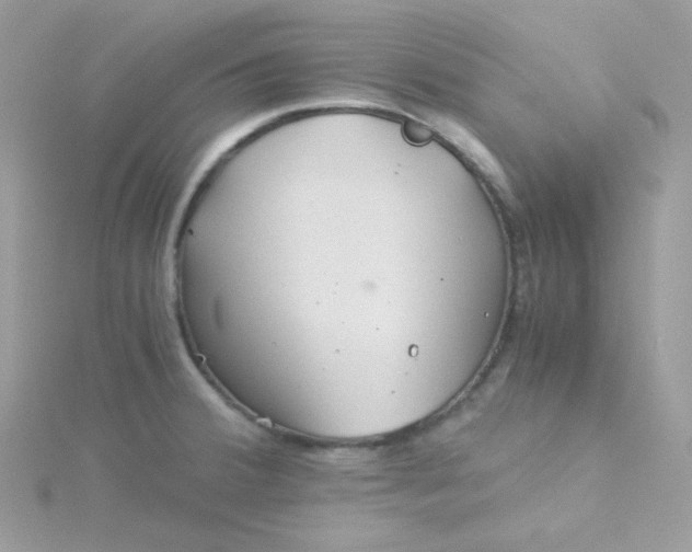 X0000115821380200911271128