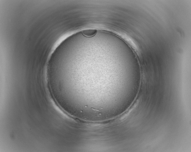 X0000115821382200911271128