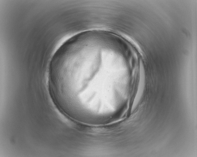 X0000115821383200911271128