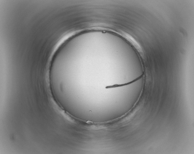 X0000115821384200911271128