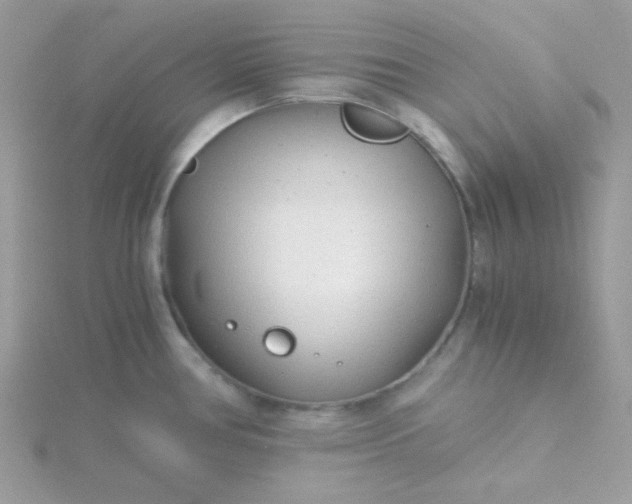 X0000115821386200911271128