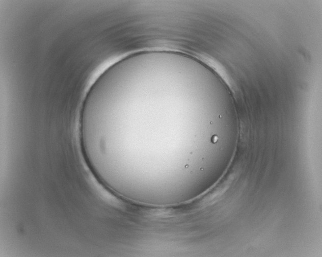 X0000115821387200911271128