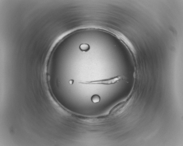 X0000115821388200911271128