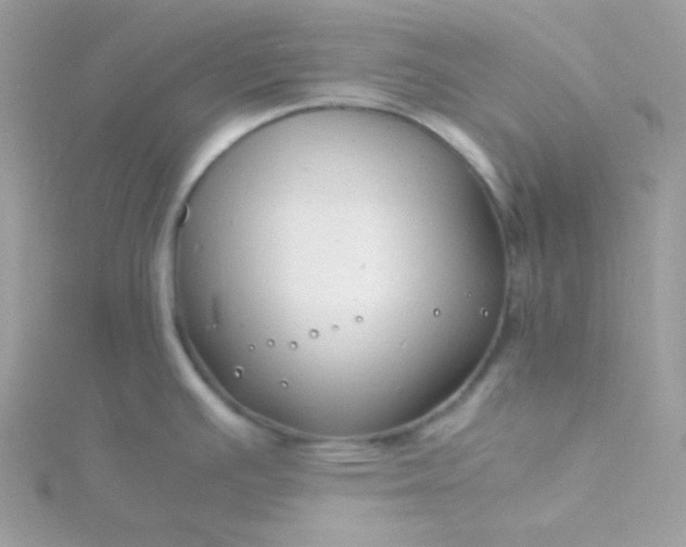 X0000115821391200911271128