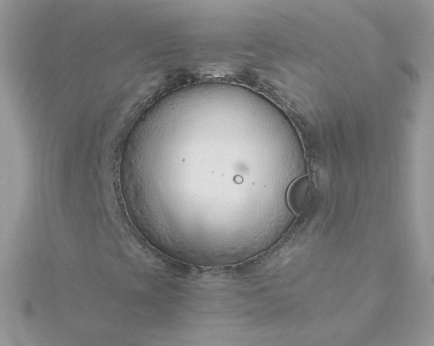 X0000115821393200911271128