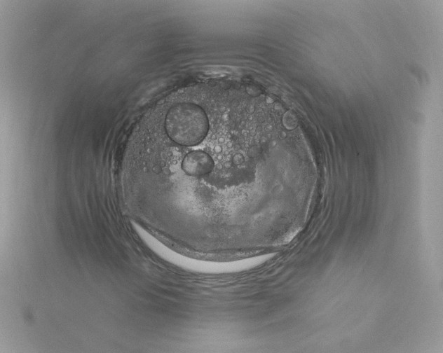 X0000115821394200911271128