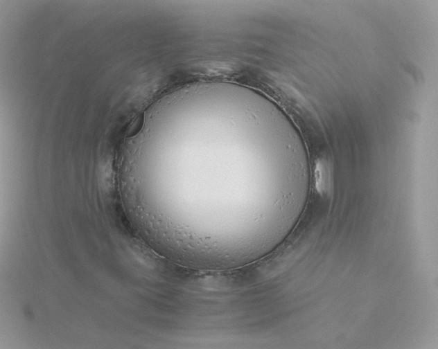 X0000115821395200911271128