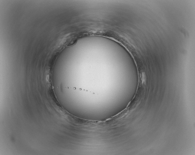 X0000115821396200911271128