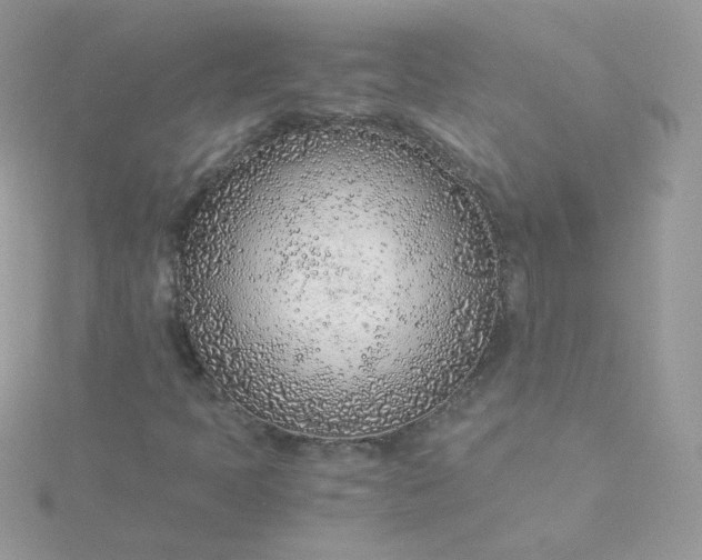 X0000115821397200911271128