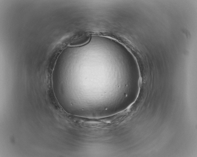 X0000115821398200911271128