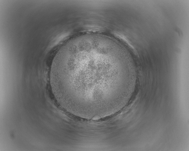 X0000115821399200911271128