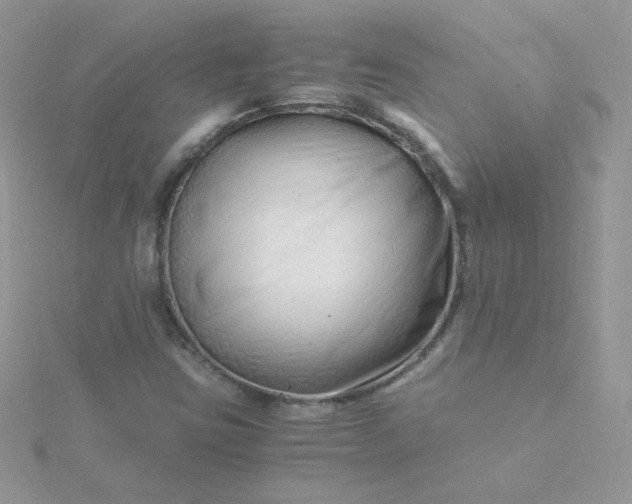 X0000115821403200911271128