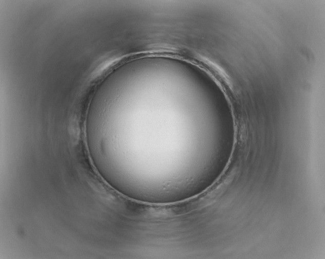 X0000115821407200911271128