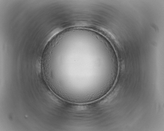 X0000115821409200911271128