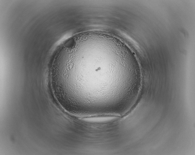 X0000115821411200911271128