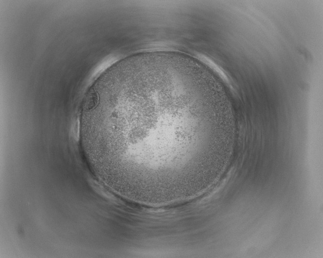 X0000115821413200911271128