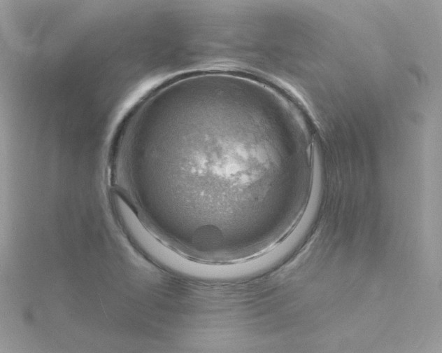 X0000115821414200911271128